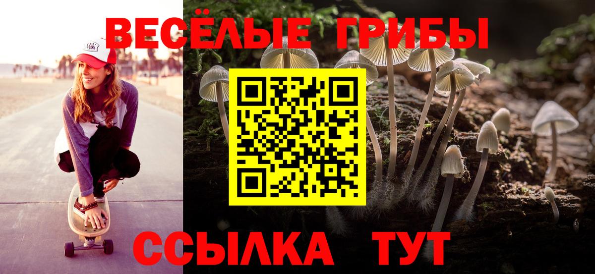 Псилоцибиновые грибы GOLDEN TEACHER  Вход с VPN  Саратов 